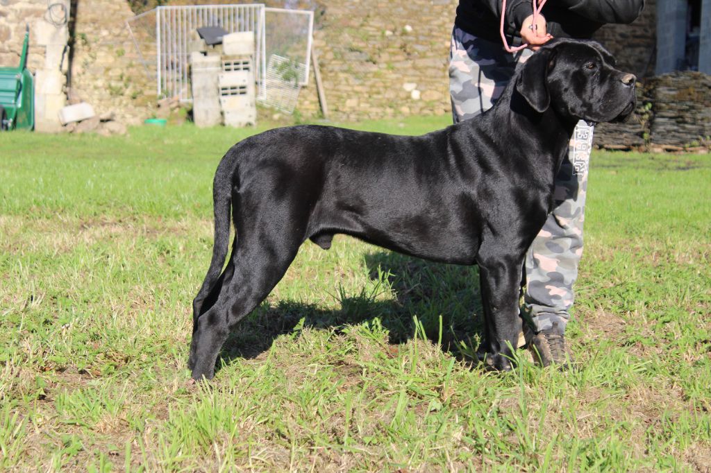 Un grand prestige du Domaine Des Terres Noires