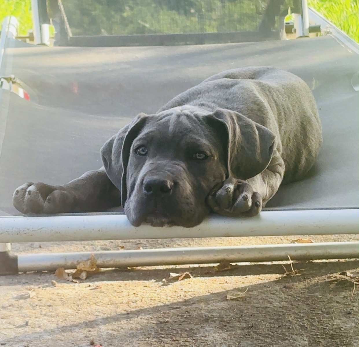 Avalanche du Domaine Des Terres Noires